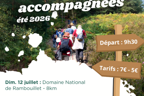 Randonnées accompagnées